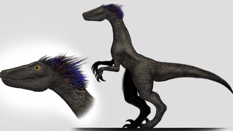 2 Raptors